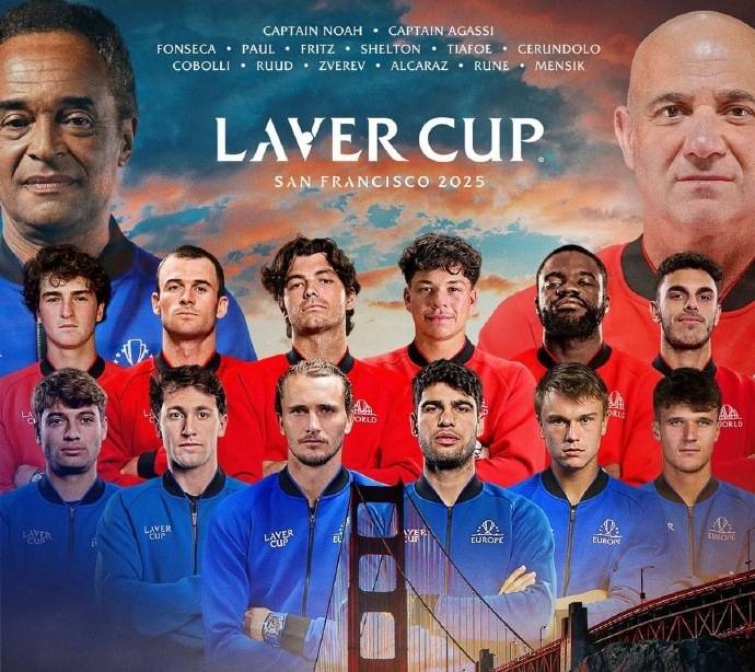 提供了新的 提供了新的